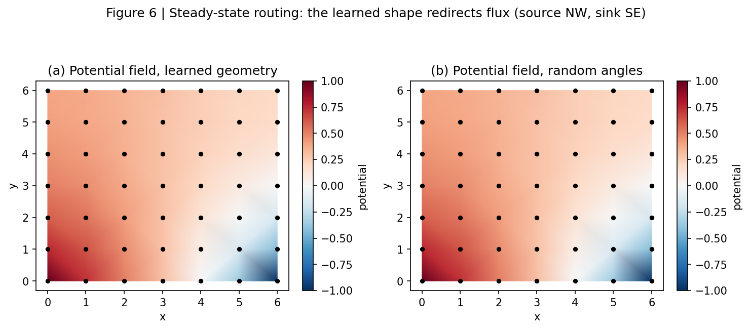 Steady-state routing: the learned shape redirects flux from source to sink